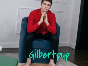 Gilbertpup