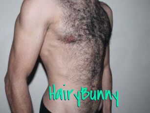 HairyBunny