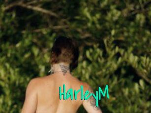 HarleyM