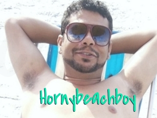 Hornybeachboy