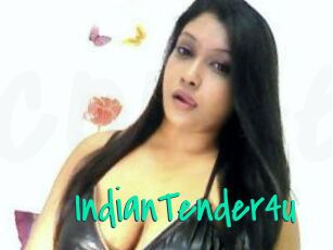 IndianTender4u