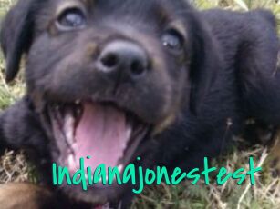Indianajonestest