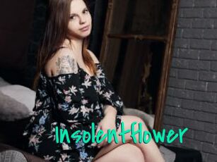 Insolentflower