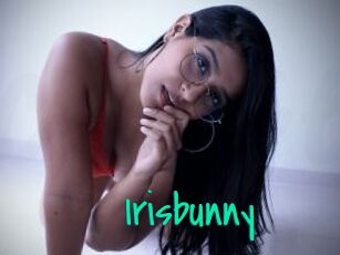 Irisbunny