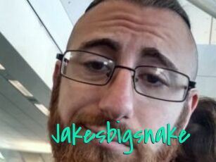 Jakesbigsnake