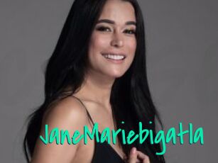 JaneMariebigatla