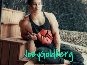 JoeyGoldberg