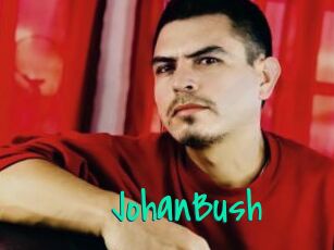 JohanBush