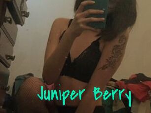 Juniper_Berry