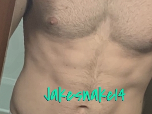 Jakesnake14