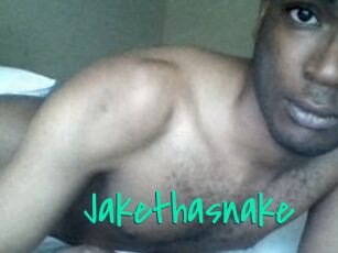 Jake_tha_snake