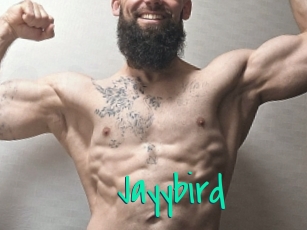 Jayybird