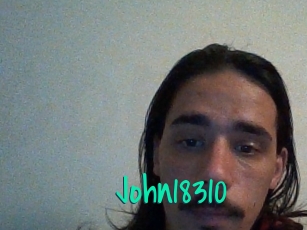 John18310