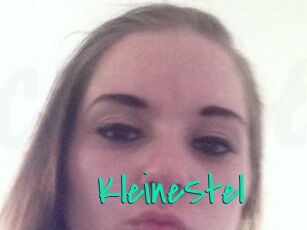 KleineStel