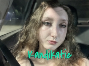 Kandikatie