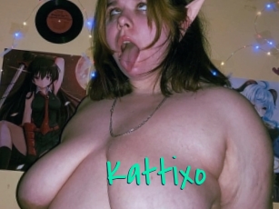 Kattixo