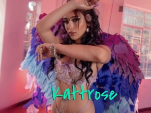 Kattrose