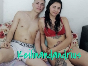 Keilinandandrius