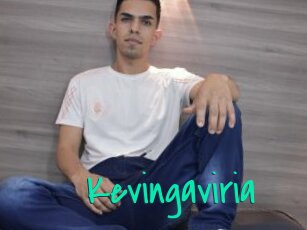 Kevingaviria