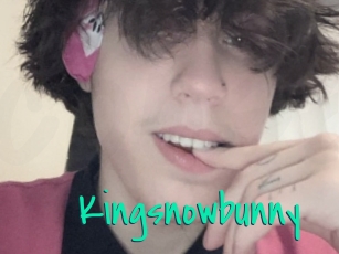 Kingsnowbunny