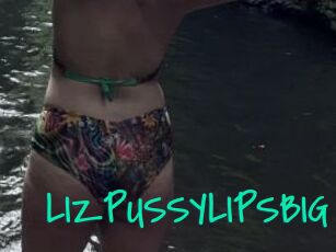 LIZPUSSYLIPSBIG