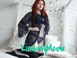 LindsayMeow