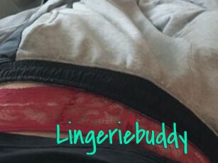 Lingeriebuddy