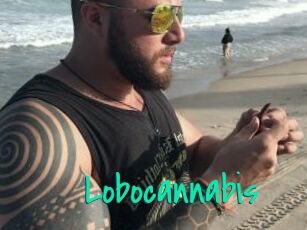 Lobocannabis