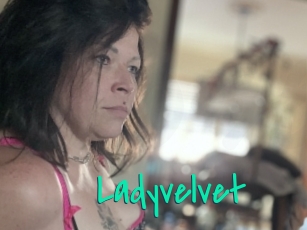 Ladyvelvet