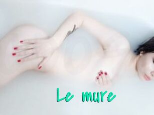 Le_mure