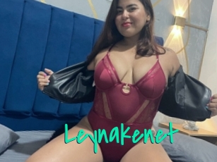 Leynakenet