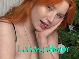 Lianasunflower