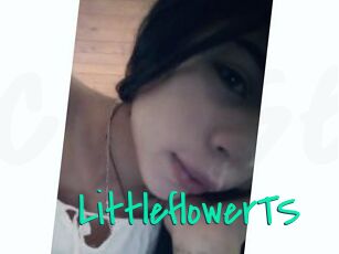 LittleflowerTS