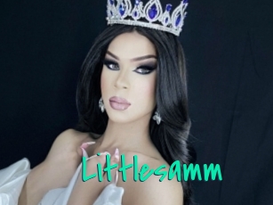 Littlesamm