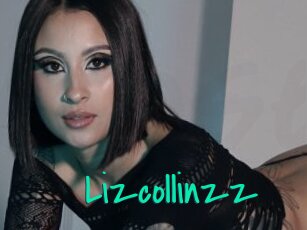 Lizcollinzz