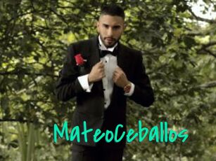 MateoCeballos