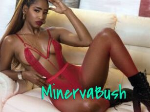 MinervaBush