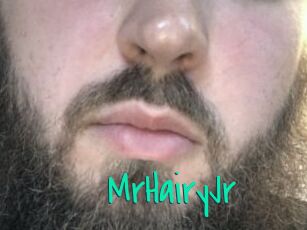 MrHairyJr