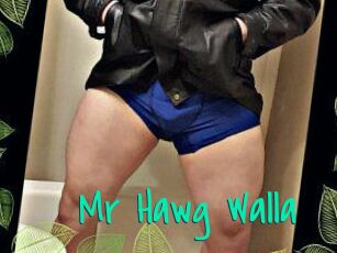 Mr_Hawg_Walla