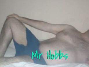 Mr_Hobbs