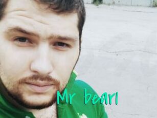 Mr_bear1