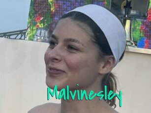 Malvinesley