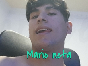 Mario_neta