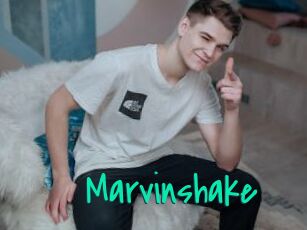 Marvinshake