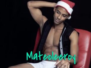 Mateoleeroy