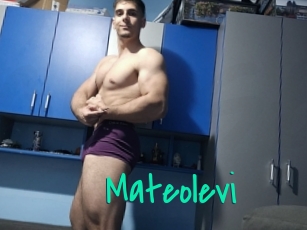 Mateolevi