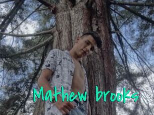 Mathew_brooks