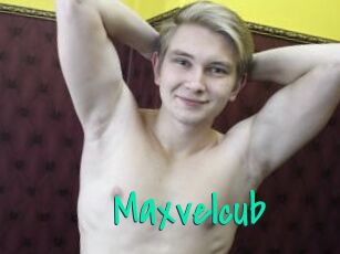 Maxvelcub