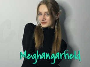 Meghangarfield