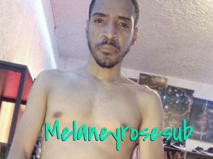 Melaneyrosesub